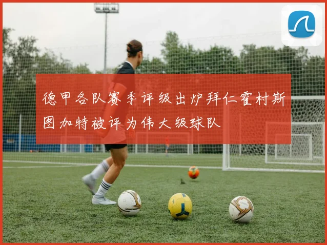 德甲各队赛季评级出炉拜仁霍村斯图加特被评为伟大级球队