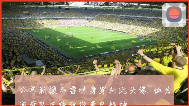 公羊新援加雷特身穿科比头像T恤为道奇队开球致敬曼巴精神